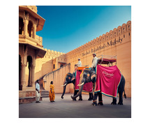 Elephant Village In Jaipur Best Place For Elephant Interaction