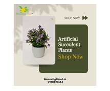 Buy Beautiful Artificial Succulents Plants for Home & Office Decor