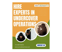 Hire Experts in Undercover Operations – AMX Detectives
