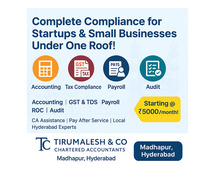 Small business accountants near me Hyderabad