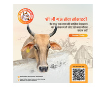 Cow donation is a divine act.