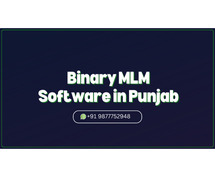 Binary MLM Software in Punjab by Touchwood Technologies