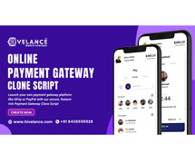 Launch a Global Payment Gateway Like PayPal or Stripe Effortlessly