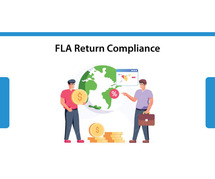 FLA Returns under FEMA: Annual Filing & Compliance