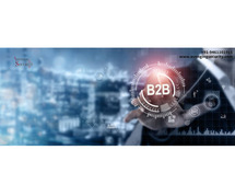 B2B Recharge Portal