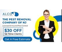 Reliable Pest Removal in Passaic County, NJ