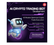 AI Crypto Bot Development with Predictive Models