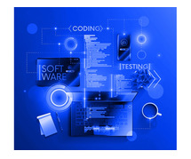 Best Web Development Company in India