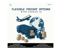 Flexible Freight Solutions with SeaOne.io – Global Shipping Made Easy