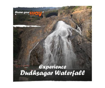 Explore the Majestic Dudhsagar Waterfall – A Scenic Goa Escape