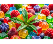 Harmony Bliss CBD Gummies Reviewed – Is It All Just