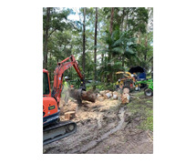 The Art and Science of Tree Pruning in Augusta, GA: Cultivating Healthy, Beautiful Landscapes