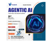 Agentic AI Online Free Demo
