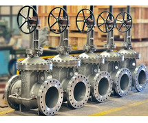 Globe Valve Manufacturers, Supplier in Ahmedabad