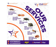 Best Rodent Removal Solutions in Kurnool