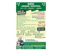 Best Veterinary Hospital in Rewari - DCC Animal Hospital