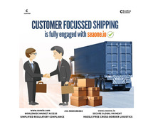 Effortless Cross-Border Trade with SeaOne.io by Coneio