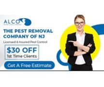 Transparent Pest Control Cost NJ – Get Quality Service Today