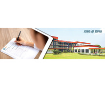 BBA Colleges in Lailunga
