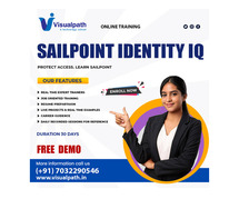 Sailpoint Online Course Hands-On Sessions by Experts