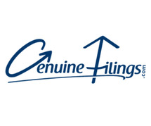 Virtual CFO Services in Delhi