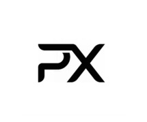 Rank #1 on Google with Expert SEO Services | Pixeleex