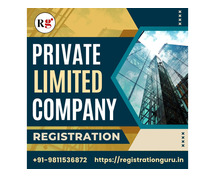 Private Limited Company Online Registration in Delhi