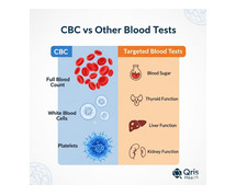 Decoding Blood Tests CBC Compared to Specific Panels