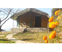 Discover Peace and Luxury at Resorts in Landour