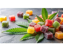 BayPark CBD Gummies Reviews 2025 (Read NOW!) - Honest Customer Feedback Revealed