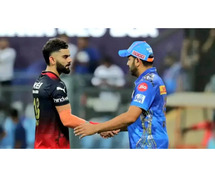 Know about the toughest record of scoring the most 50s in an IPL season