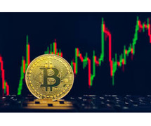 Immediate Path Platform Review