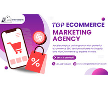 Best Ecommerce SEO Services in India: Wish Geeks Techserve