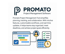 Promato PM Tools – Simplify Project Tracking and Delivery