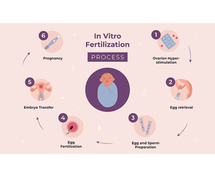 IVF Treatment In Delhi - Dr Rhythm Gupta