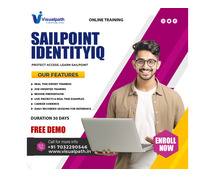 Sailpoint Training in India Hands-On Sessions by Experts