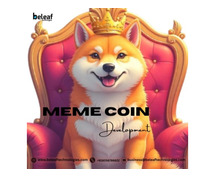Top Meme Coin Development Company Trends in 2025 - Beleaf Technologies