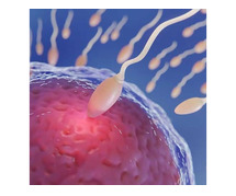 Best IVF Centre In Delhi, Best IVF treatment in Delhi – Babysoon