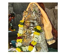 Rahu Ketu Pooja Benefits With Cost  | Trimbakeshwar Nasik