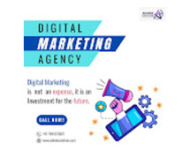 Advide Solutions – Performance-Driven Digital Marketing Agency in Jaipur