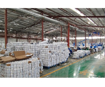 Why PET Strap Rolls Are Revolutionizing Industrial Packaging in 2025