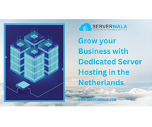 Grow your Business with Dedicated Server Hosting in the Netherlands