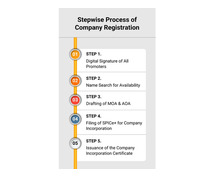 Stepwise Process with Company Registration