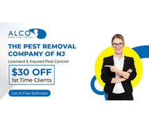 Bed Bug Removal in NJ – ALCO Animal & Pest Control
