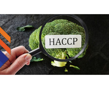 HACCP Certification Provider in Mumbai