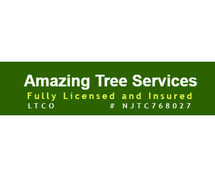 Tree Removal Estimate in NJ – Amazing Tree Services
