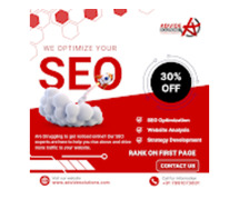 Advide Solutions – Expert SEO Agency in Jaipur for Guaranteed Online Growth
