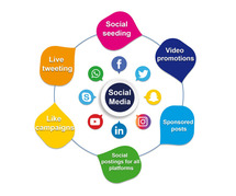 Top Social Media Marketing Agency in India