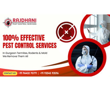 Expert Pest Control Services in Gurgaon & Noida