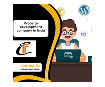 Professional Website Development Company in India – Converthink Solution